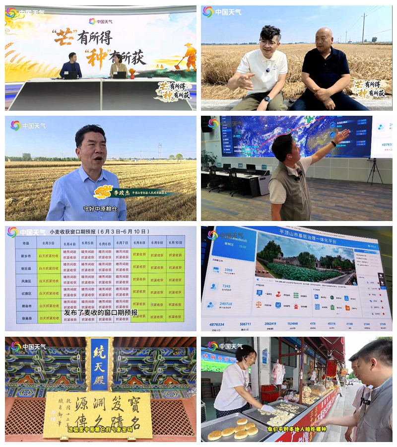 国省联动护夏收 节气赋能展新韵 ——华风集团联合河南省气象局开展芒种节气全媒体服务